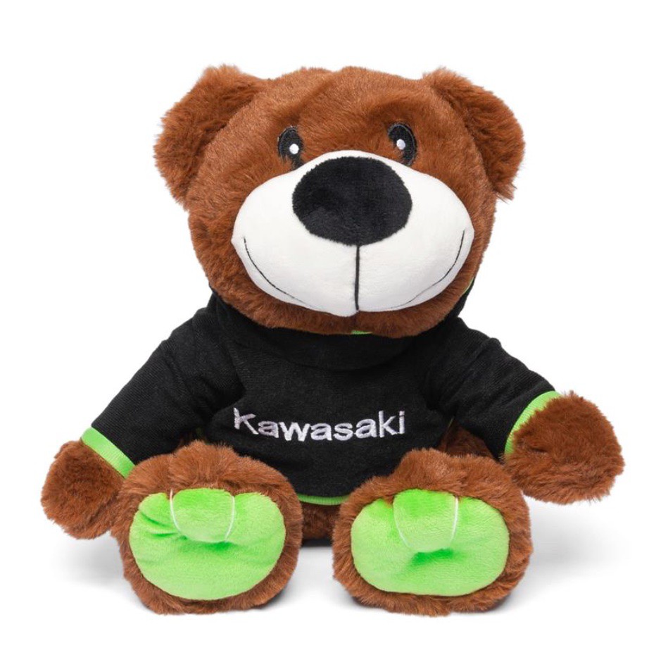 OURS EN PELUCHE