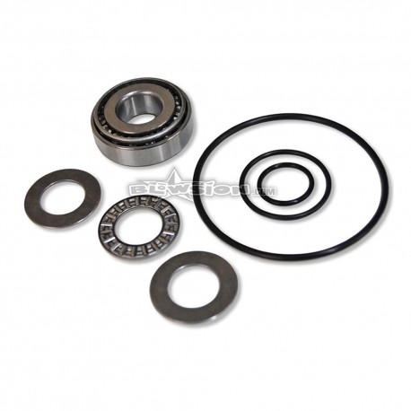 Kit roulement + joint pour platine Blowsion OVP