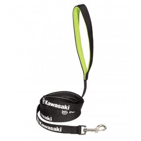 Laisse pour chien