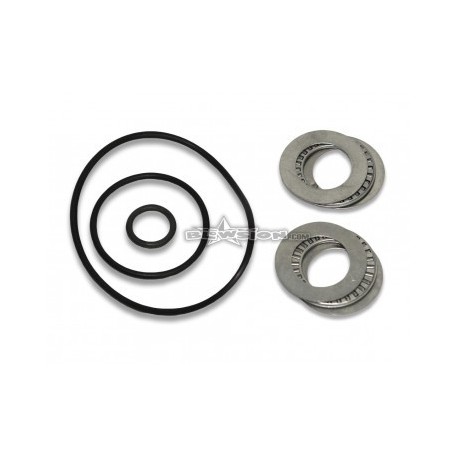 Kit roulements + joints pour platine RRP / Riva Racing