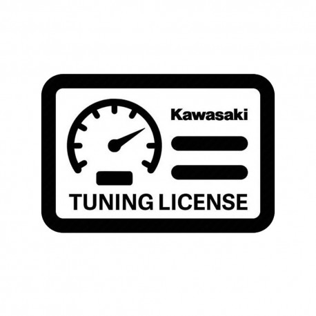 Licence map Moteur Riva / Maptuner X - Kawasaki 15-F / LX 160 / SXR 1500