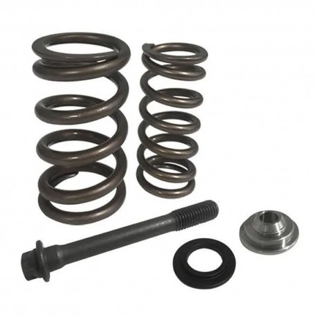 Kit ressorts de soupapes renforcés Riva Racing pour Sea Doo 4TEC