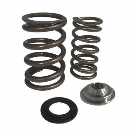 Kit ressorts de soupapes renforcés Riva Racing pour Kawasaki 15F/250/260/300