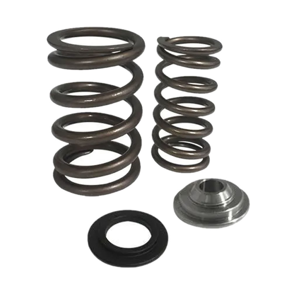 Kit ressorts de soupapes renforcés Riva Racing pour Kawasaki 15F/250/260/300